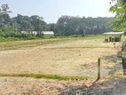 Valuable Land for Sale Minuwangoda