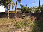 Valuable Land for Sale – Moratuwa