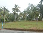 Valuable Land for Sale Moratuwa