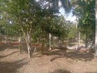 Valuable Land for sale near at kahathuduwa highway