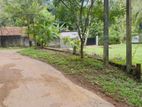 Valuable land for sale near Gampaha Miriswatta Kirillawala towns.