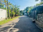 Valuable Land for Sale Near Ganemulla Bordering a Beautiful Paddy Field