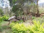 Valuable Land for Sale Near Haputale