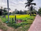 Valuable Land for Sale Near Kandy Road Yakkala Kalagedihena