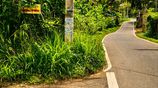 Valuable Land for Sale Near Peradeniya