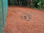 Valuable Land for Sale Near Peradeniya