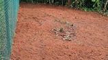Valuable Land for Sale Near Peradeniya