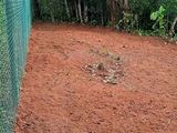 Valuable Land for Sale Near Peradeniya