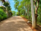 Valuable Land for Sale Near Peradeniya