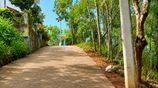 Valuable Land for Sale Near Peradeniya