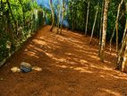 Valuable Land for Sale Near Peradeniya