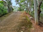 Valuable Land for Sale Near Peradeniya