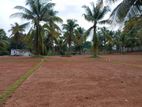 Valuable Land For Sale Near පන්නිපිටිය