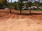 Valuable Land For Sale Near The Coastal Area Dikwella
