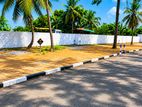 Valuable Land for Sale Near Wattala