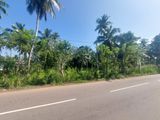 Valuable Land for Sale Near Weliveriya Town