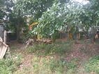 Valuable Land for Sale Nugegoda