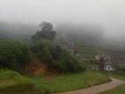 Valuable Land for Sale Nuwara Eliya City