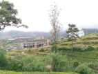 Valuable Land for Sale Nuwara Eliya