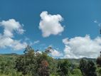 Valuable Land for Sale Nuwara Eliya Road