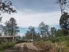 Valuable land for sale Nuwara Eliya Road Ramboda