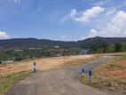 Valuable Land for Sale Nuwaraeliya