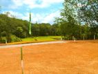 Valuable Land for sale Padukka Wateraka