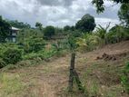 Valuable Land for Sale Pallekale