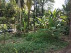 Valuable Land For Sale Piliyandala