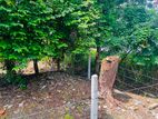 Valuable Land for Sale Piliyandala, Madapatha. (ID : PLN001)