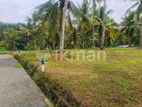 Valuable Land for Sale Radawana