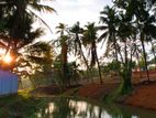 Valuable Land for Sale Ragama