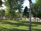 Valuable land for sale-Ragama
