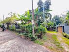 Valuable Land For Sale Talawatugoda