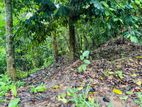 Land for Sale Doragamuwa