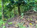 Land for Sale Doragamuwa