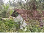 Valuable Land for Sale with Old House - Bandarawela heeloya