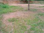 Valuable Land in Bulugahagoda, Ganemulla