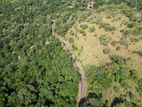 Valuable Land In Ella