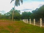Valuable Land in Kekanadura