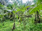 Valuable Land in Kirindiwela, Gampaha