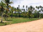 Valuable Land in Kurunegala narammala - 15 P