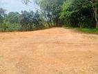 Valuable Land in Meegoda for Sale