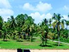 Valuable Land in Narammala