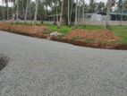 Valuable Land in Pellandeniya Junction