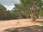 Valuable Land in Rekawa