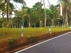 VALUABLE LAND IN VEYANGODA