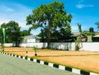 Valuable Land in Wadduwa