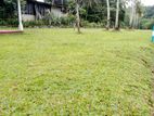 Valuable Land Near to Horana Town