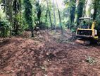 Valuable Land Opportunity Near Homagama Town